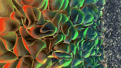 640.gif